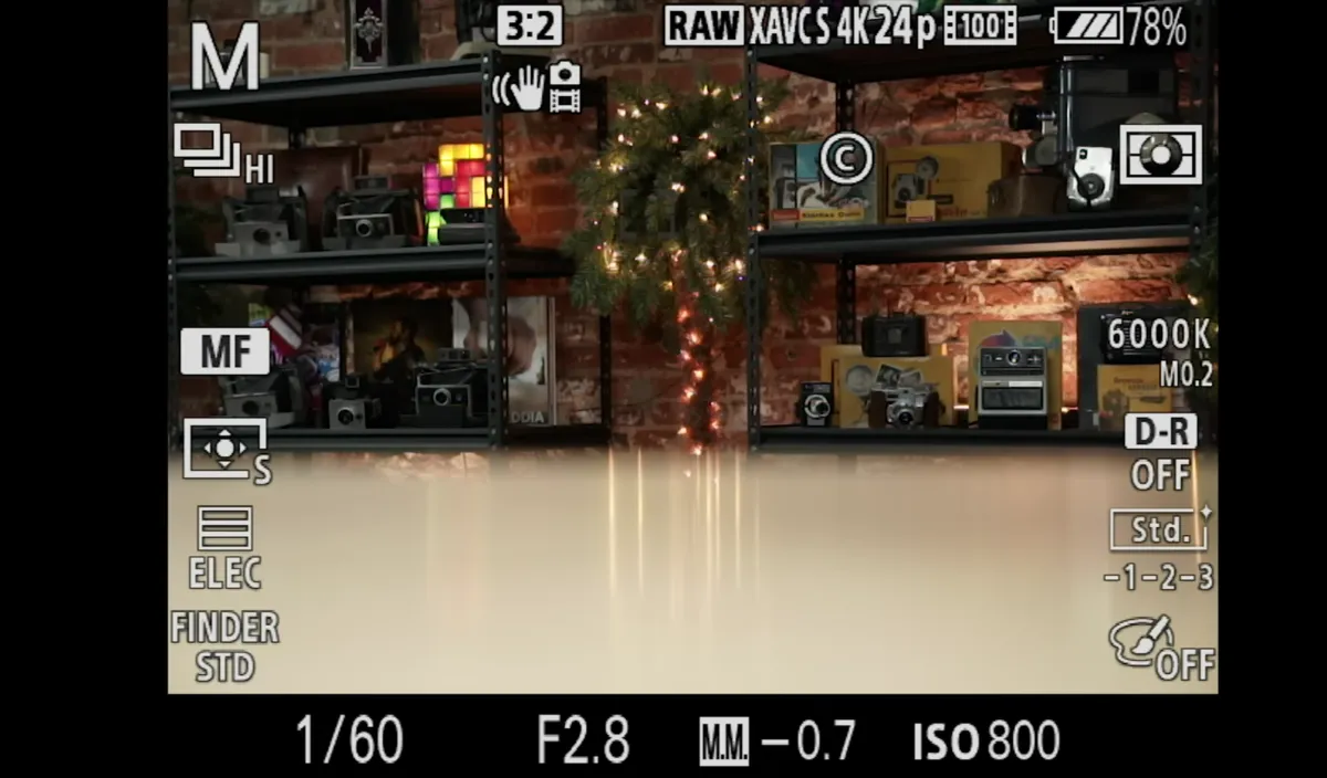 All elements on the electronic viewfinder screen | Skylum Blog