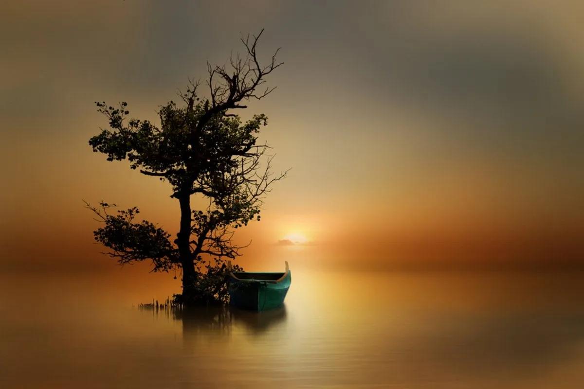 A tree with a boat in the water at sunset | Skylum Blog