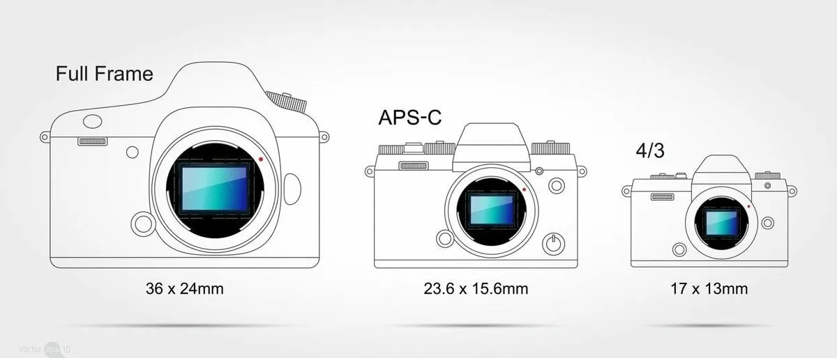 Different crop sensor sizes | Skylum Blog