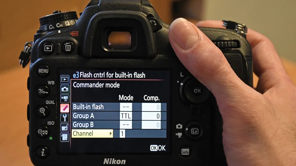 Built In Flash in the camera | Skylum Blog