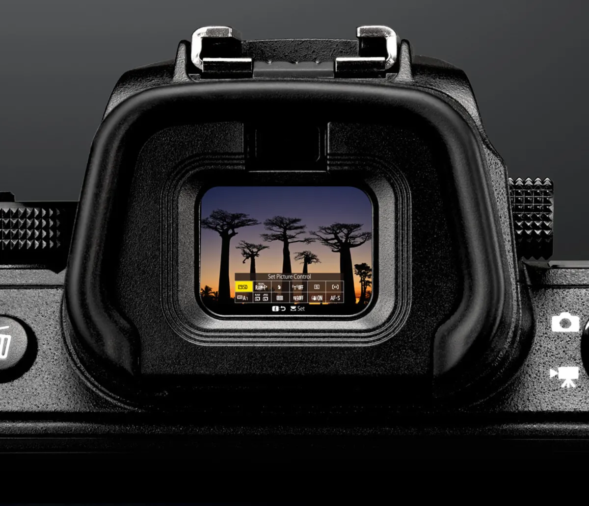 Image in the electronic viewfinder | Skylum Blog