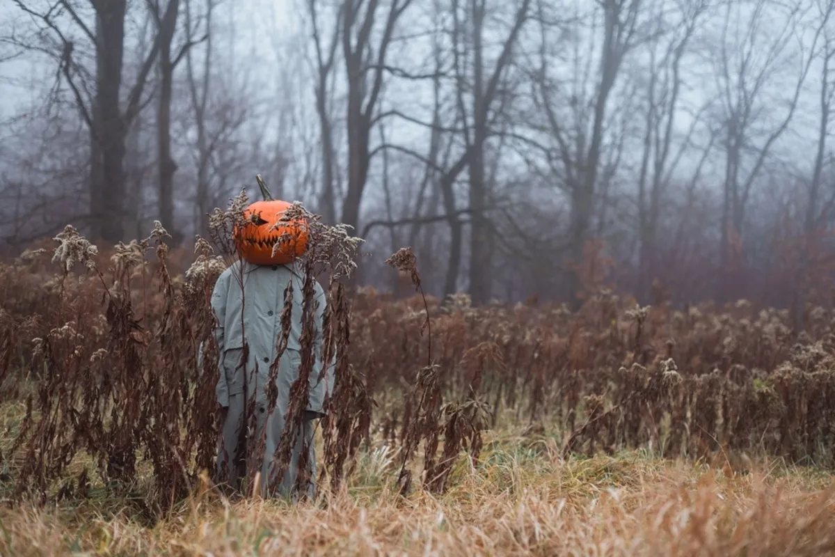 A man with a pumpkin on his head in a foggy field | Skylum Blog
