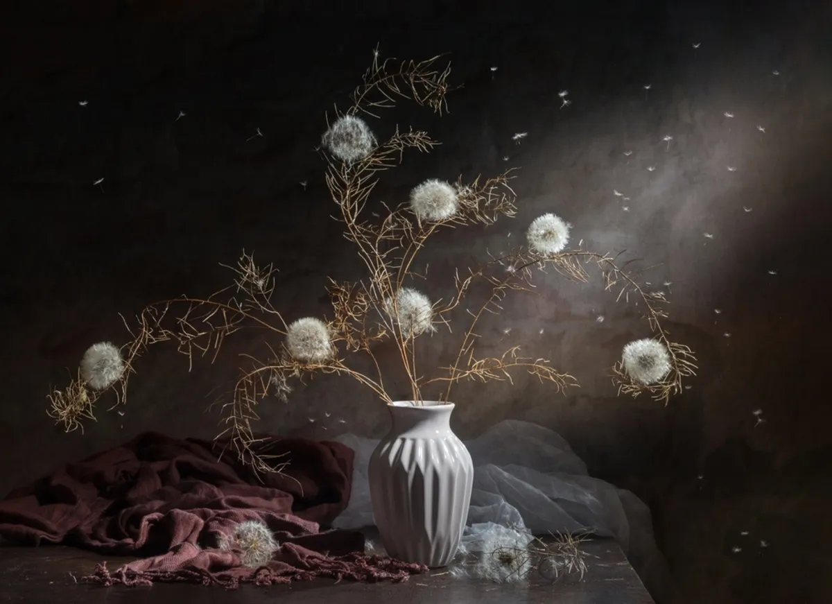 Still life of dried dandelions in a vase | Skylum Blog