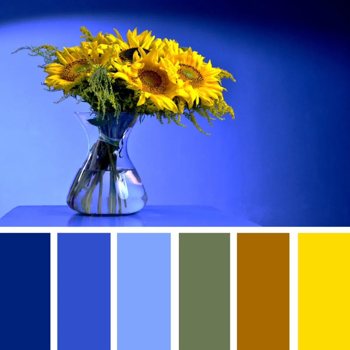 Sunflowers in a vase on a blue background | Skylum Blog