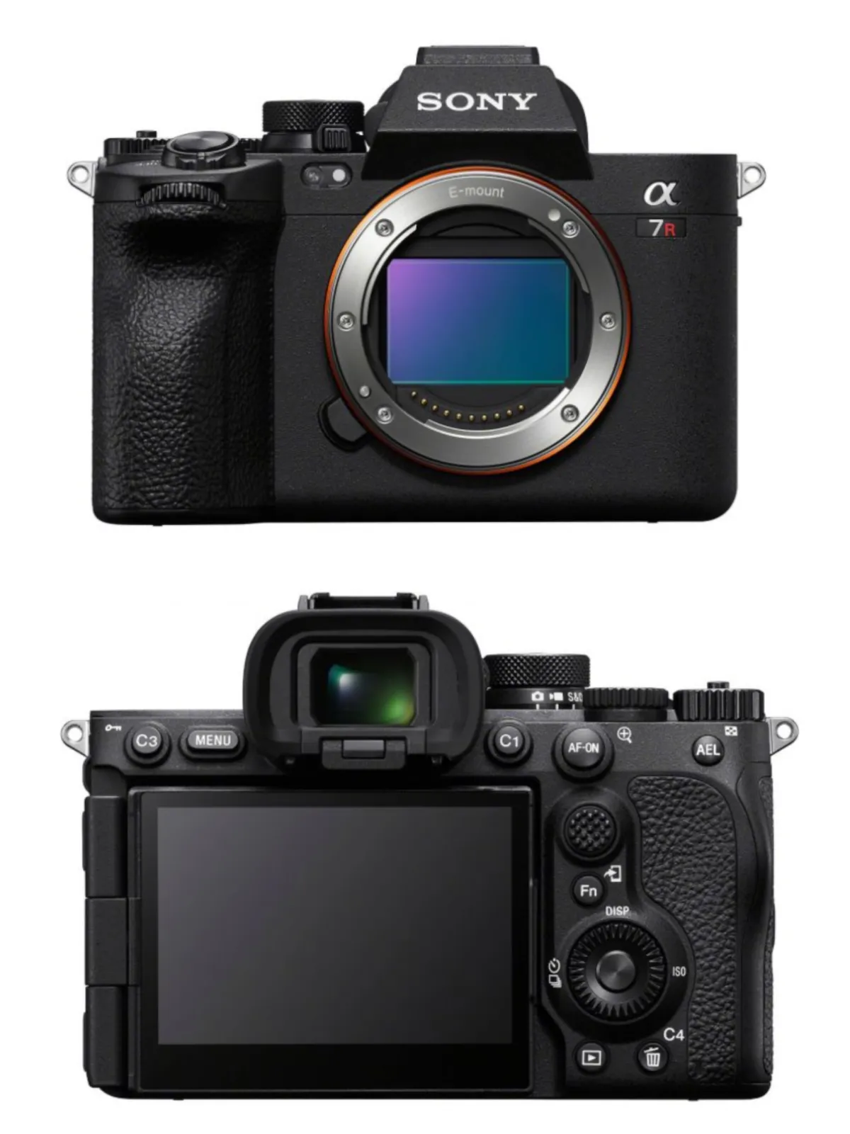 Sony Alpha a7R V | Skylum Blog | Skylum Blog