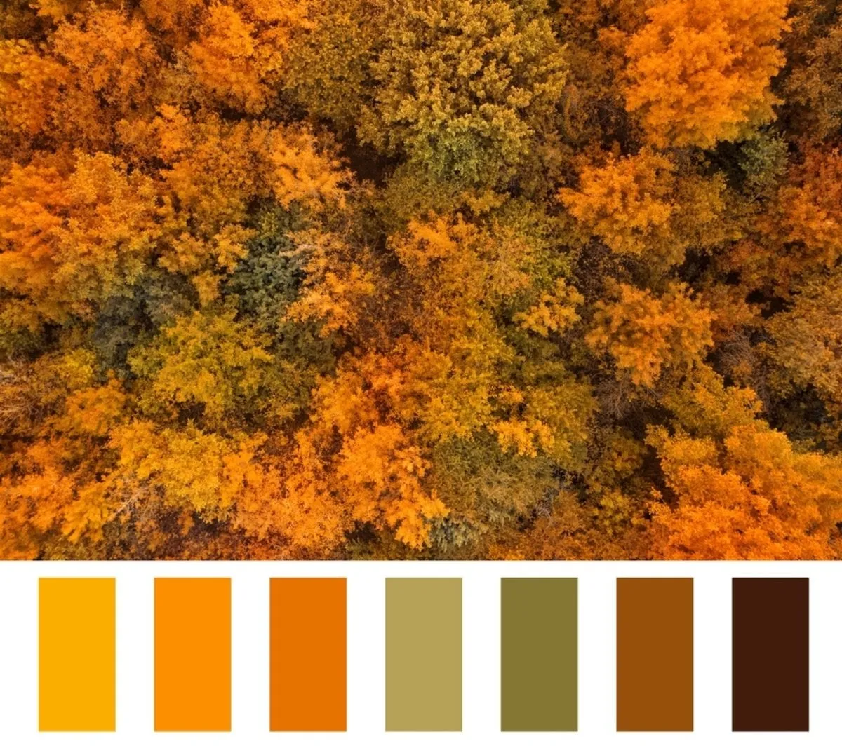 Autumn colors | Skylum Blog