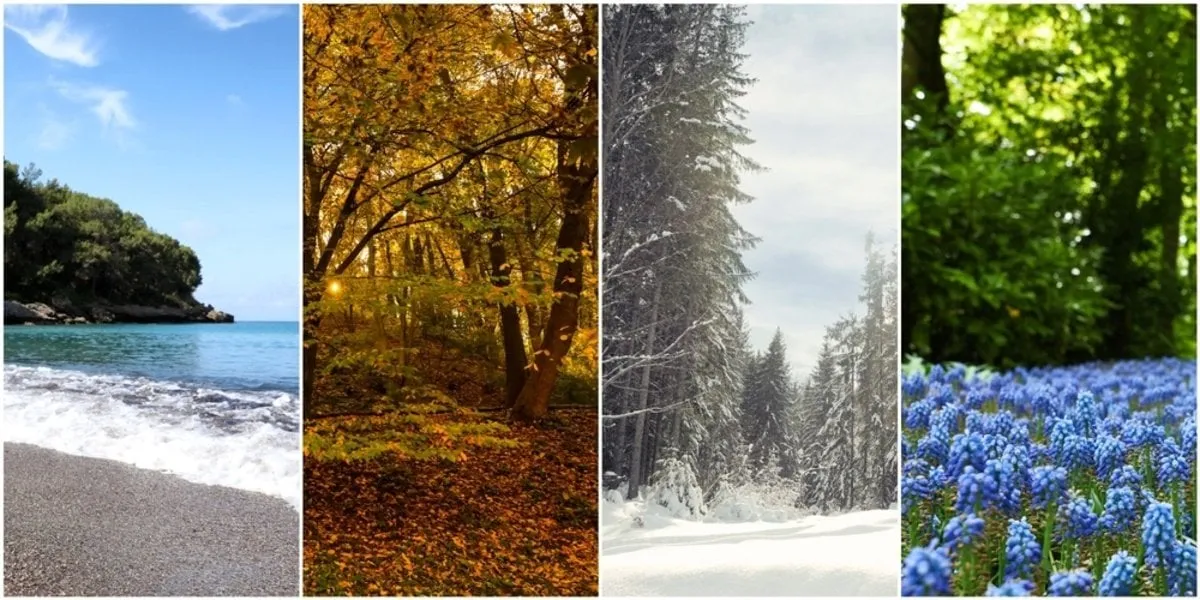 Collage of different seasons  | Skylum Blog