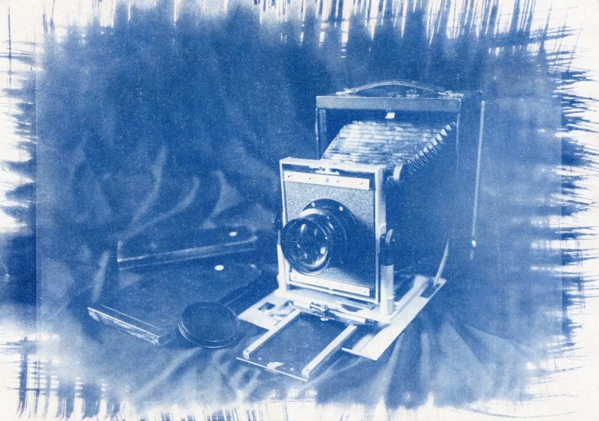 Cyanotype photo effect  | Skylum Blog