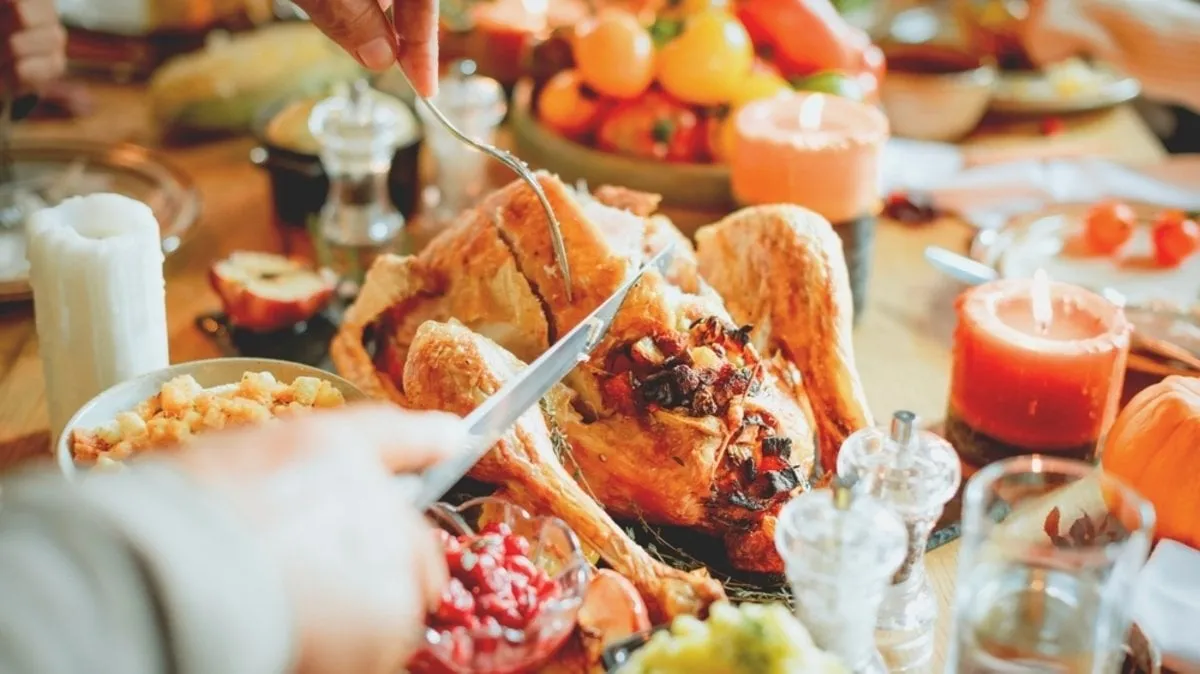 A close-up photo of a turkey | Skylum Blog