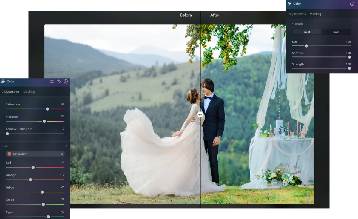 Color and Brush in Luminar Neo | Skylum Blog
