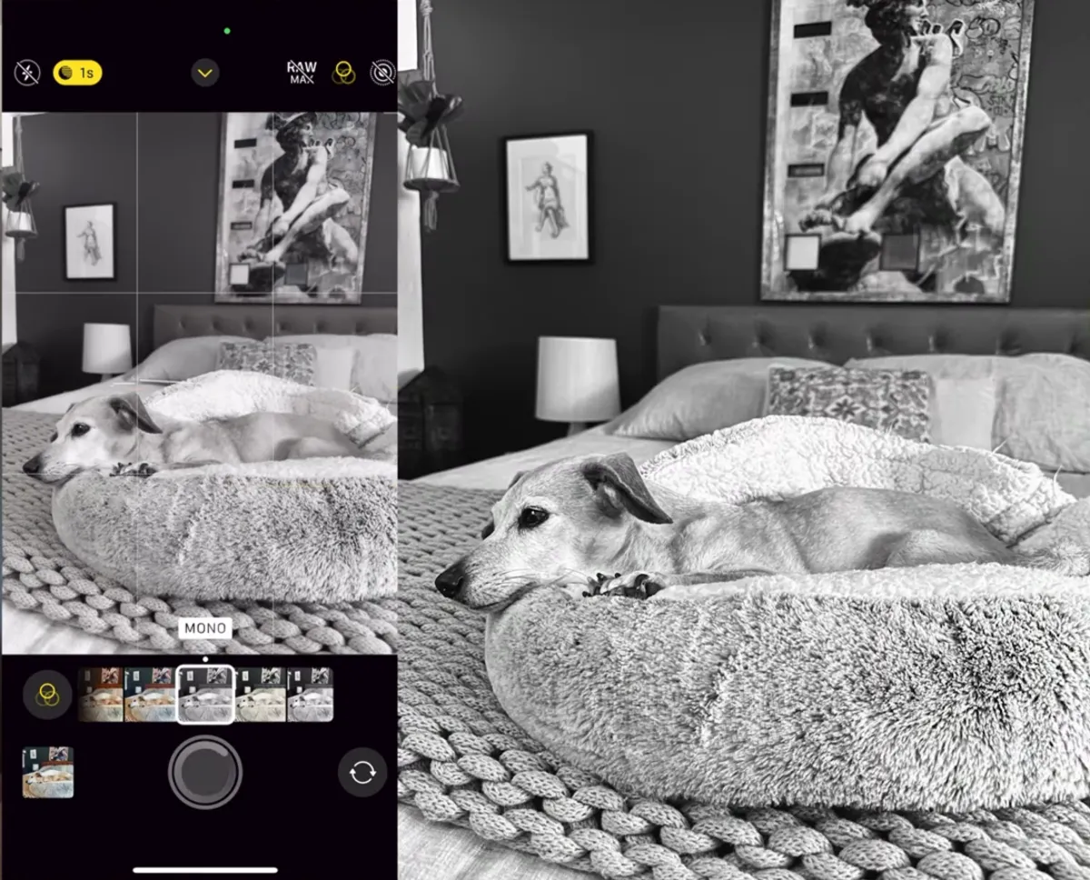 Mono effect on iPhone | Skylum Blog