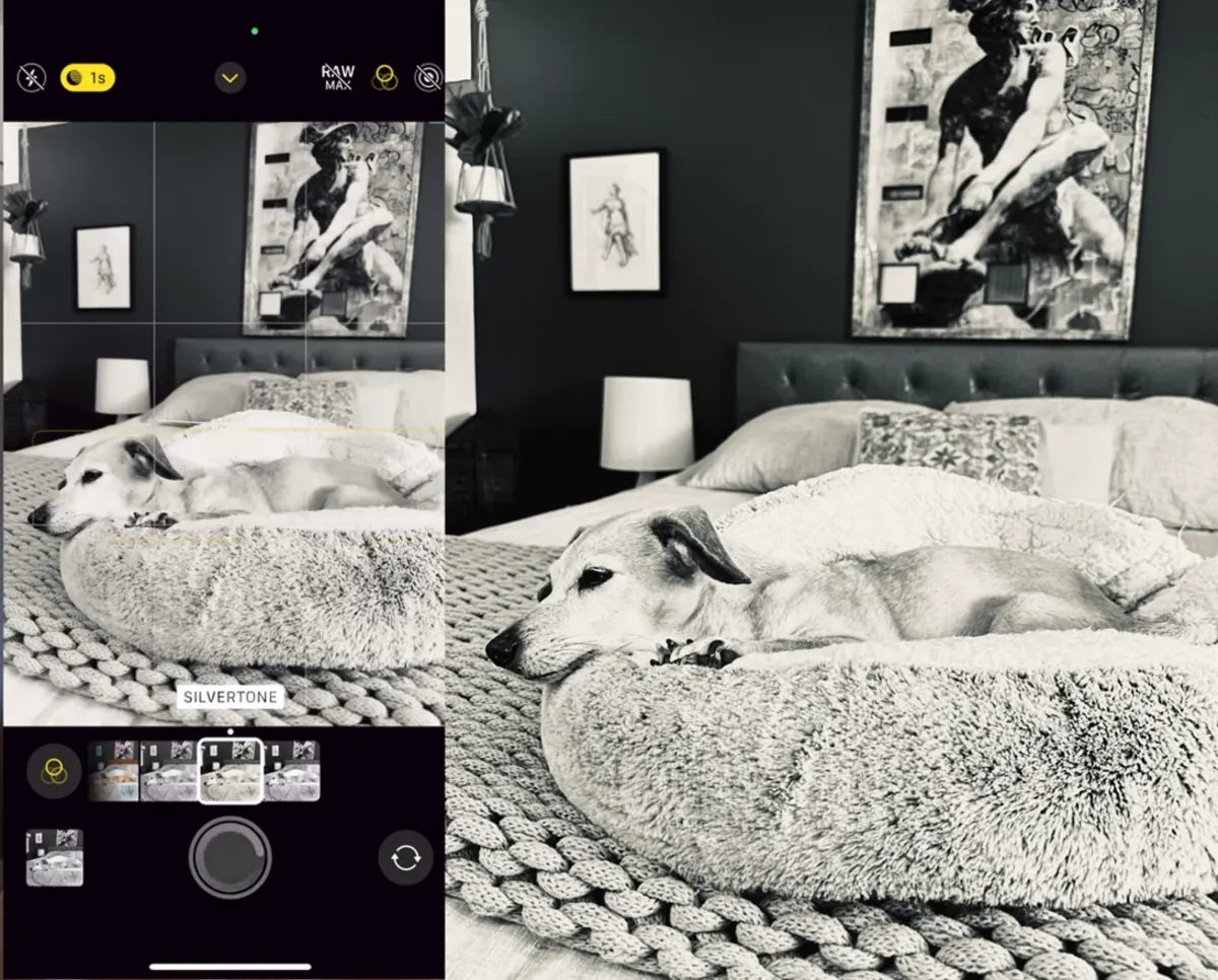 Silverstone effect on iPhone | Skylum Blog