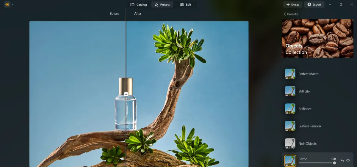 Presets in Luminar Neo | Skylum Blog