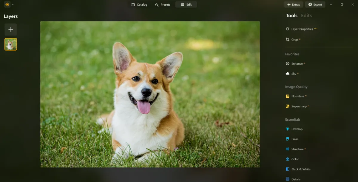 Load Your Image in Luminar Neo | Skylum Blog