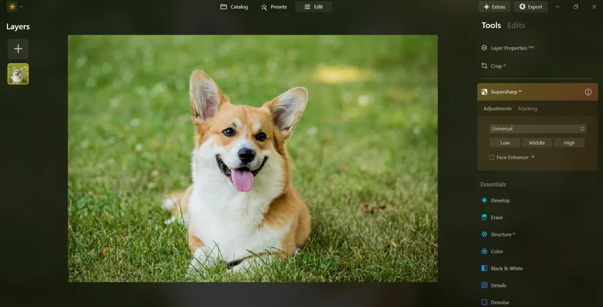 Turn on AI Image Sharpening in Luminar Neo | Skylum Blog