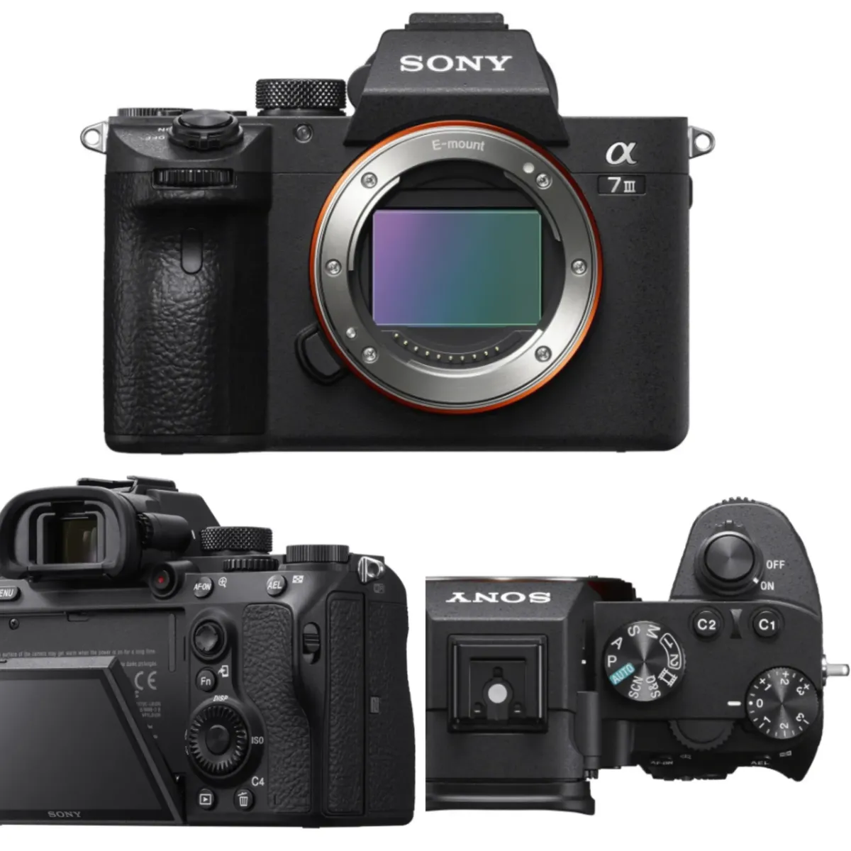 Sony A7III | Skylum Blog