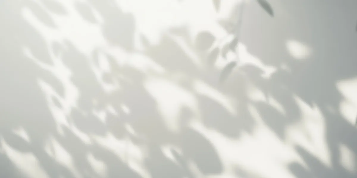 Soft Shadows | Skylum Blog