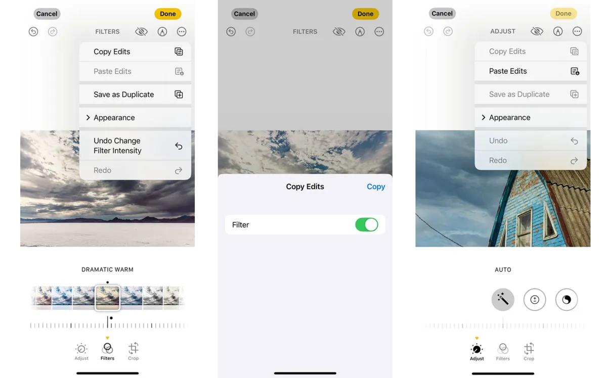 How to copy and paste a filter onto a photo on iPhone | Skylum Blog