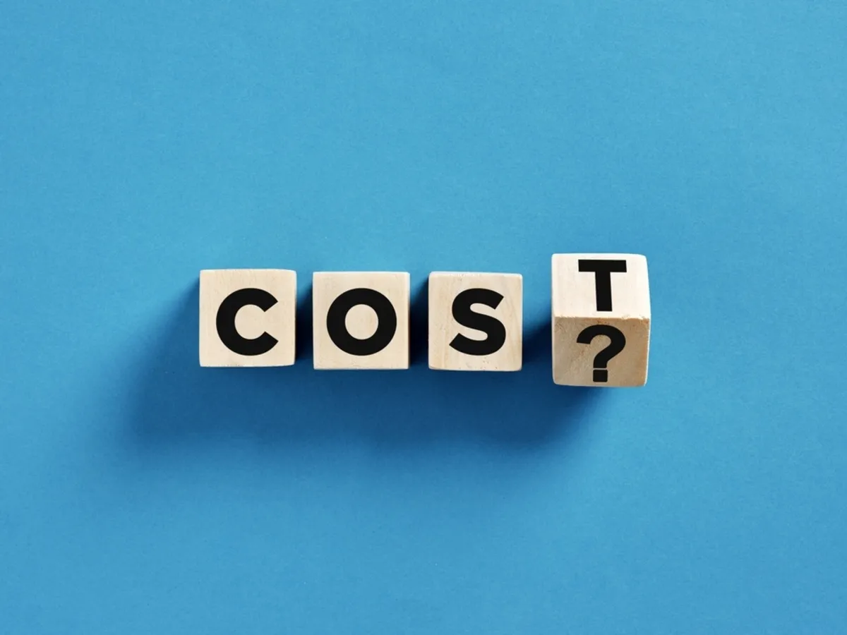 Cost | Skylum Blog