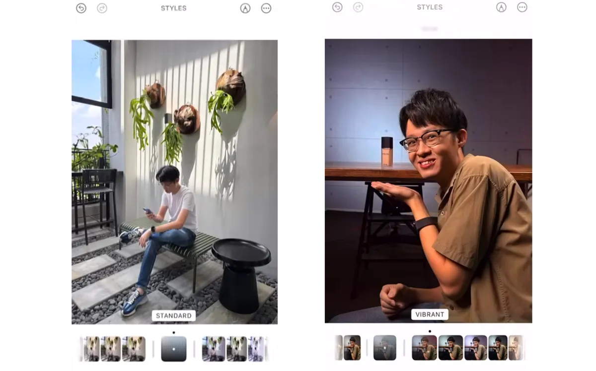 Vibrant and Standard styles for Portraits and People | Skylum Blog