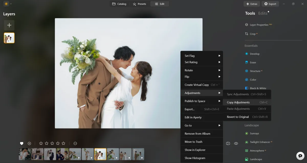 Copy edit for photos in Luminar Neo