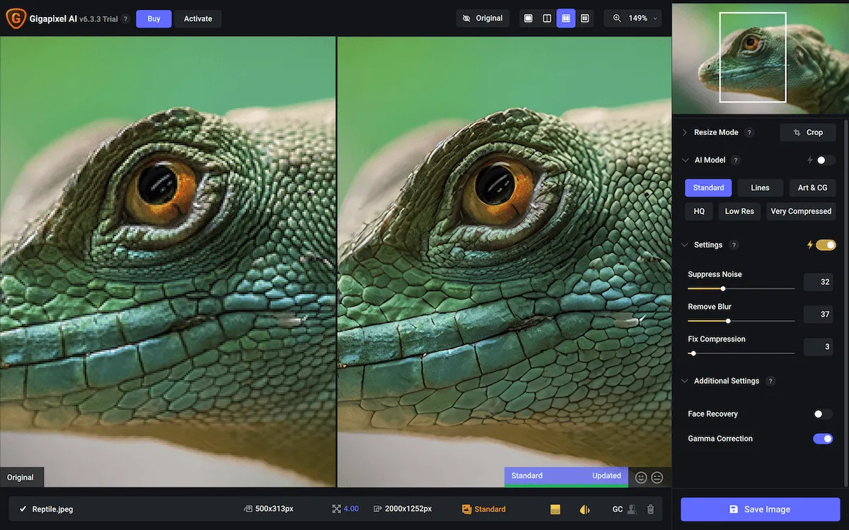 Editing the lizard in Gigapixel AI | Skylum Blog
