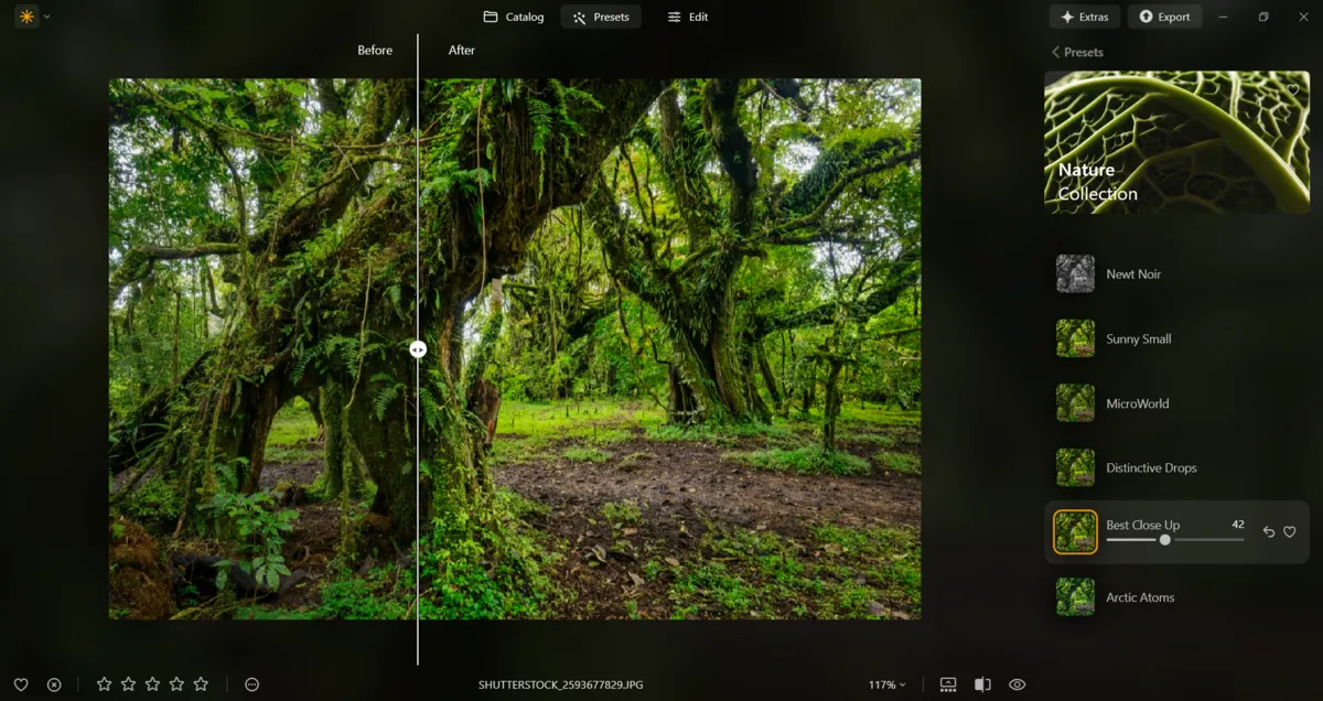 Presets in Luminar Neo | Skylum Blog