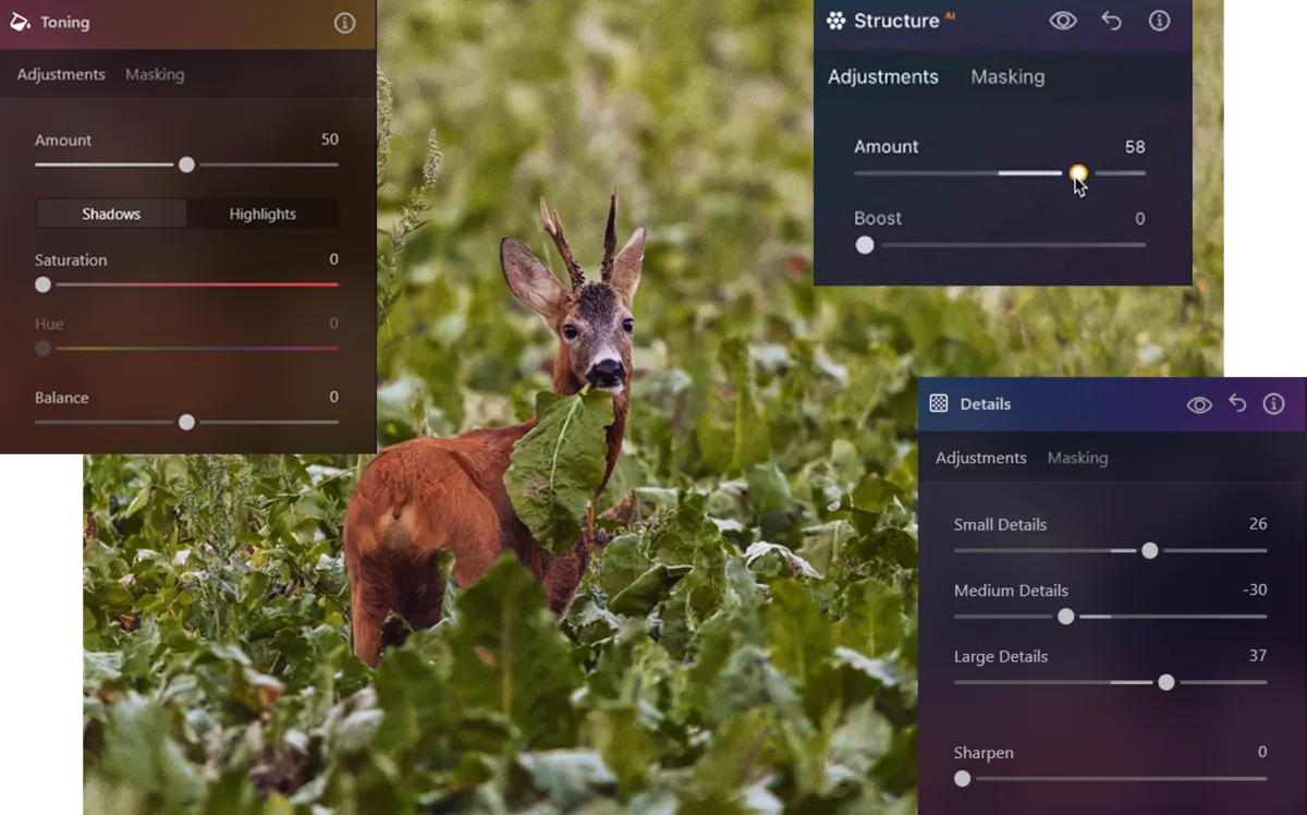Luminar Neo tools | Skylum Blog