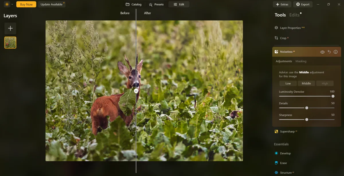 Noiseless in Luminar Neo | Skylum Blog