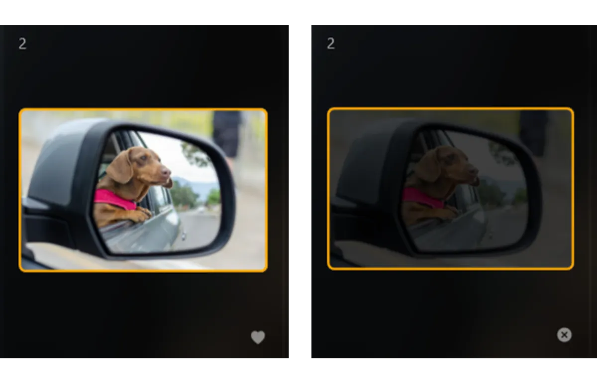 Featured and excluded photos in Luminar Neo | Skylum Blog