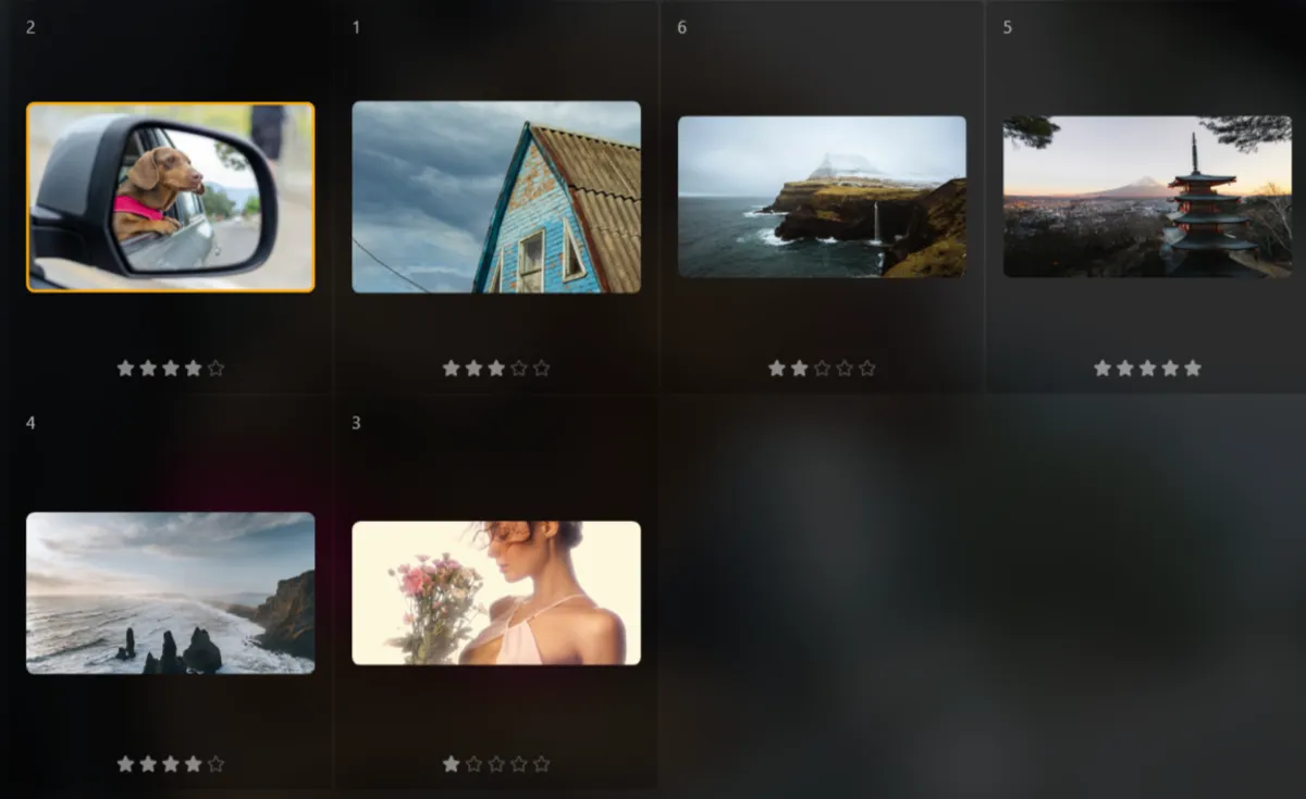 Marking photos with stars in Luminar Neo | Skylum Blog