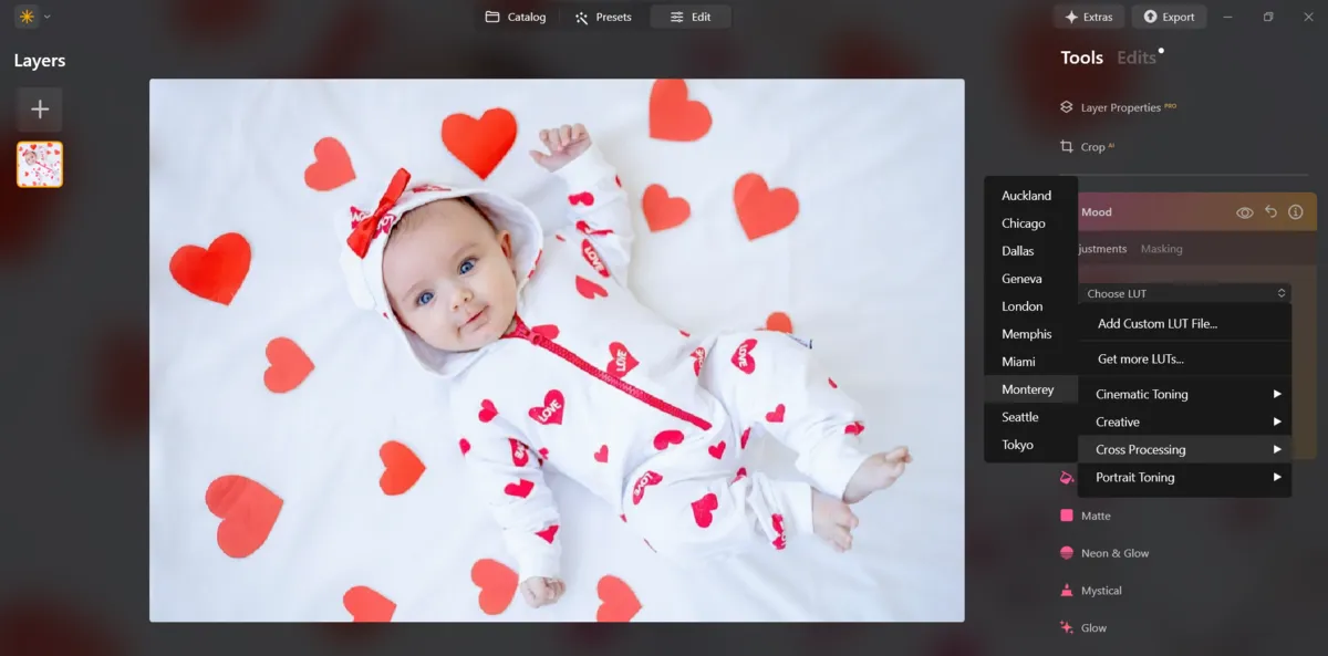 Using filters in Luminar Neo | Skylum Blog