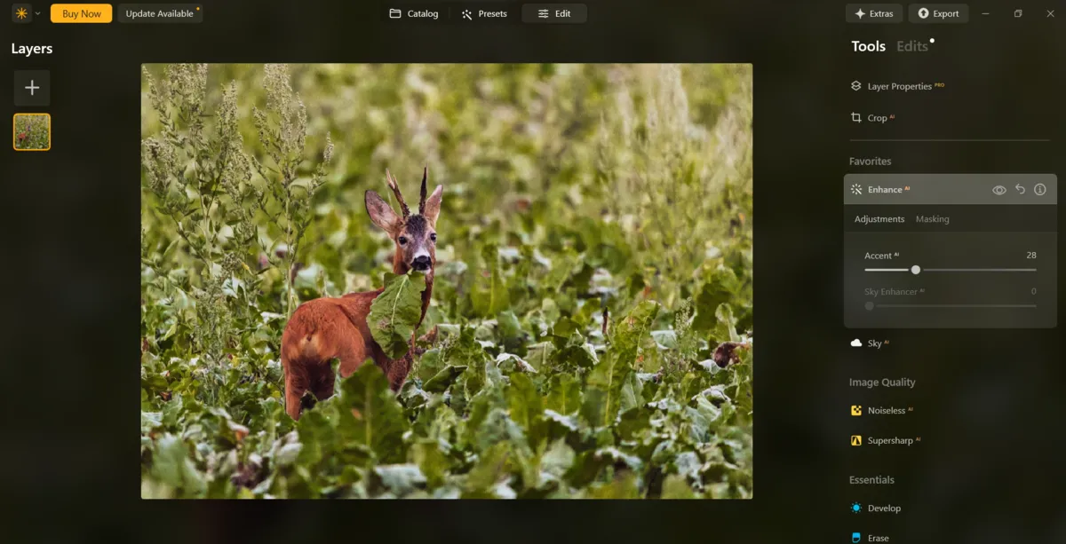 Enhance in Luminar Neo | Skylum Blog