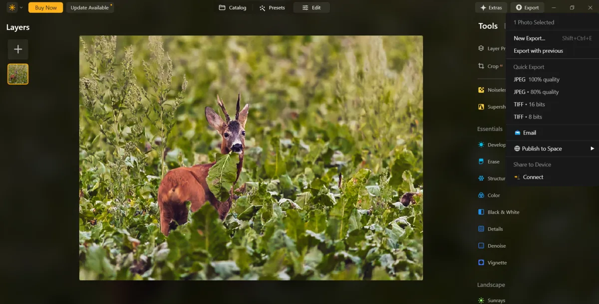 Exporting photos in Luminar Neo | Skylum Blog