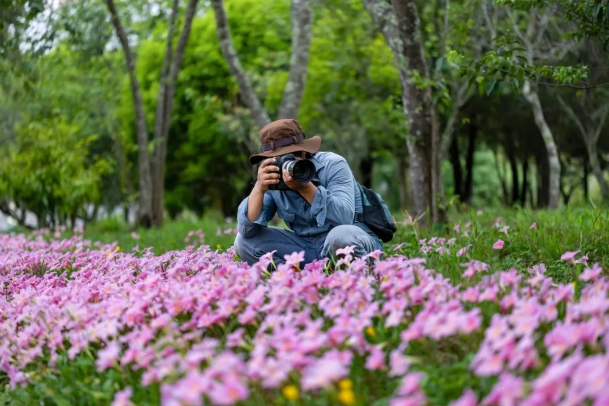 A photographer takes a picture of a meadow with flowers | Skylum Blog