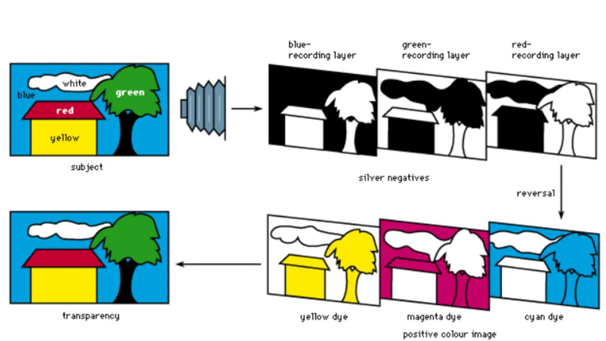 Color Sensitization | Skylum Blog