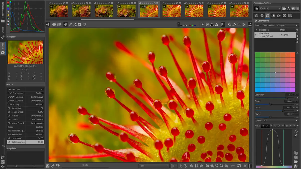 RawTherapee photo editor | Skylum Blog