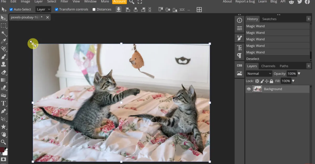 Photo editor screenshot Photopea | Skylum Blog