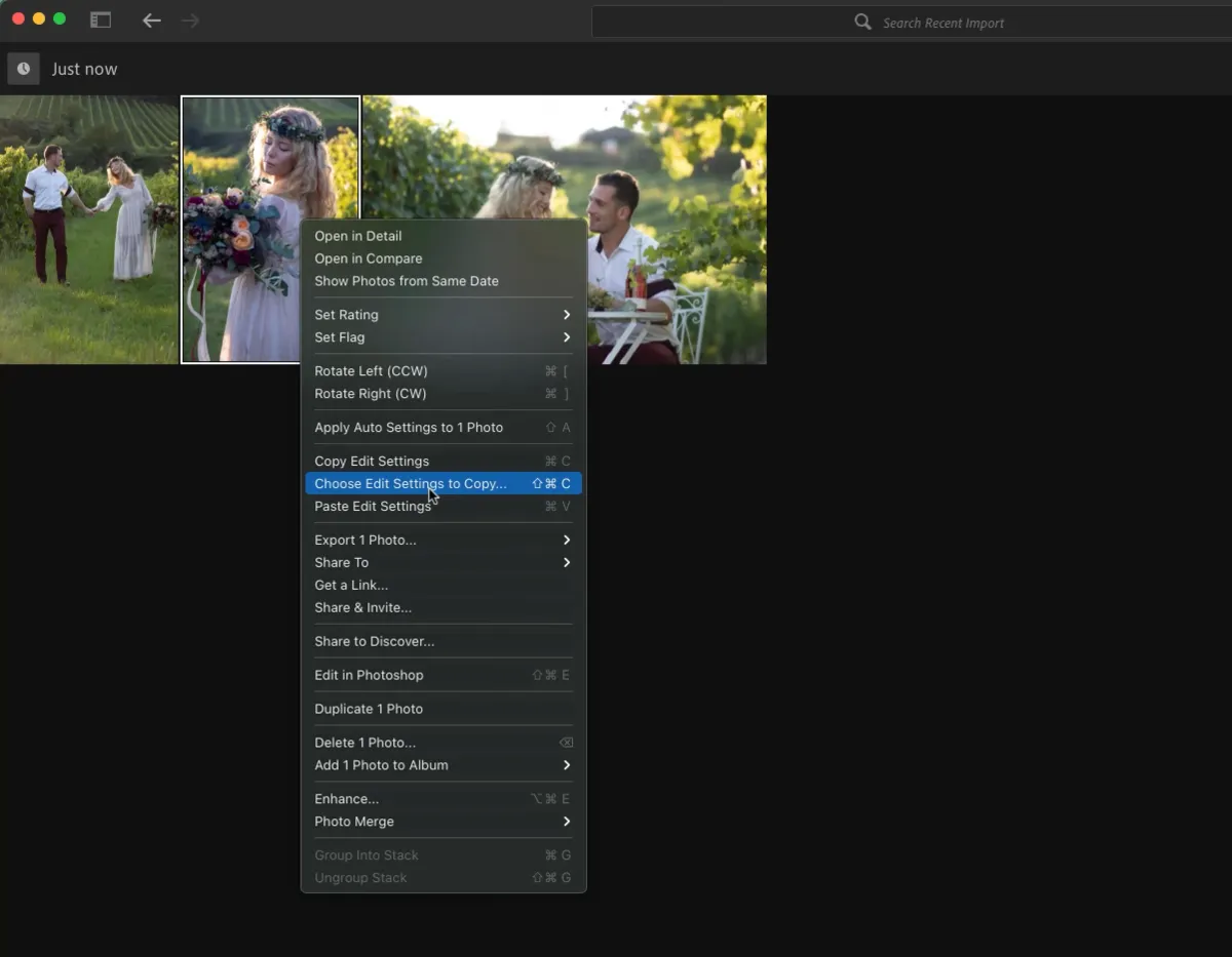 Copy photo settings in Lightroom | Skylum Blog