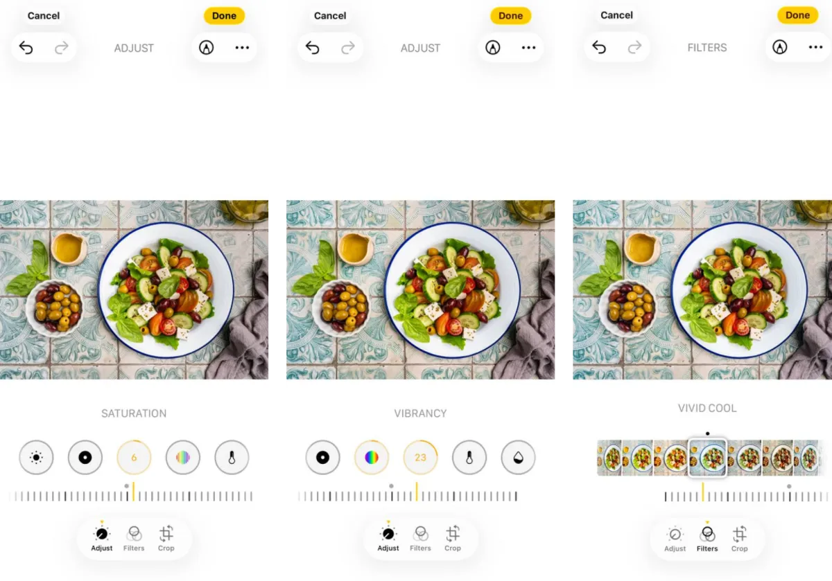 Saturation vibration and filters in photo on iPhone | Skylum Blog