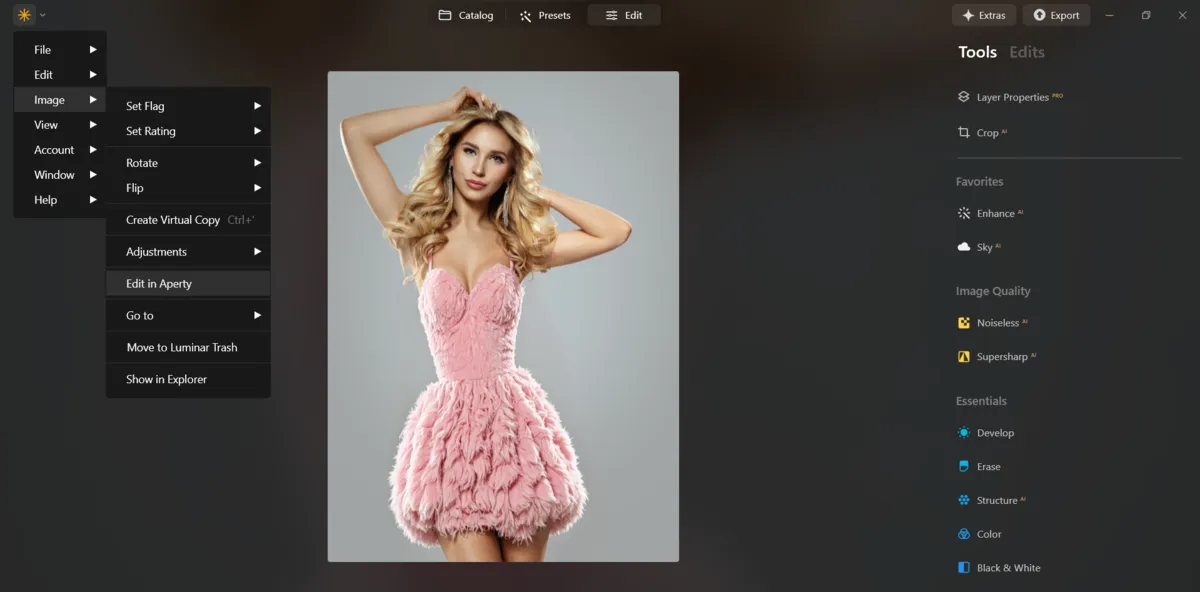 Aperty plugin support in Luminar Neo | Skylum Blog