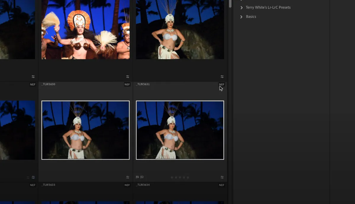 Selecting a photo in Lightroom | Skylum Blog