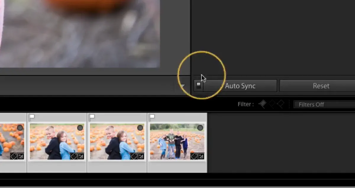 Auto Sync in Lightroom | Skylum Blog