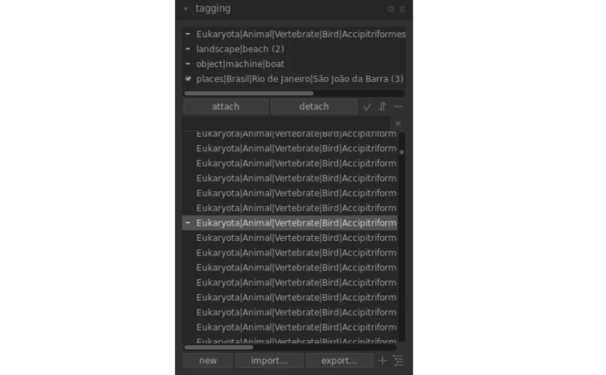 Collections and tags in Darktable | Skylum Blog