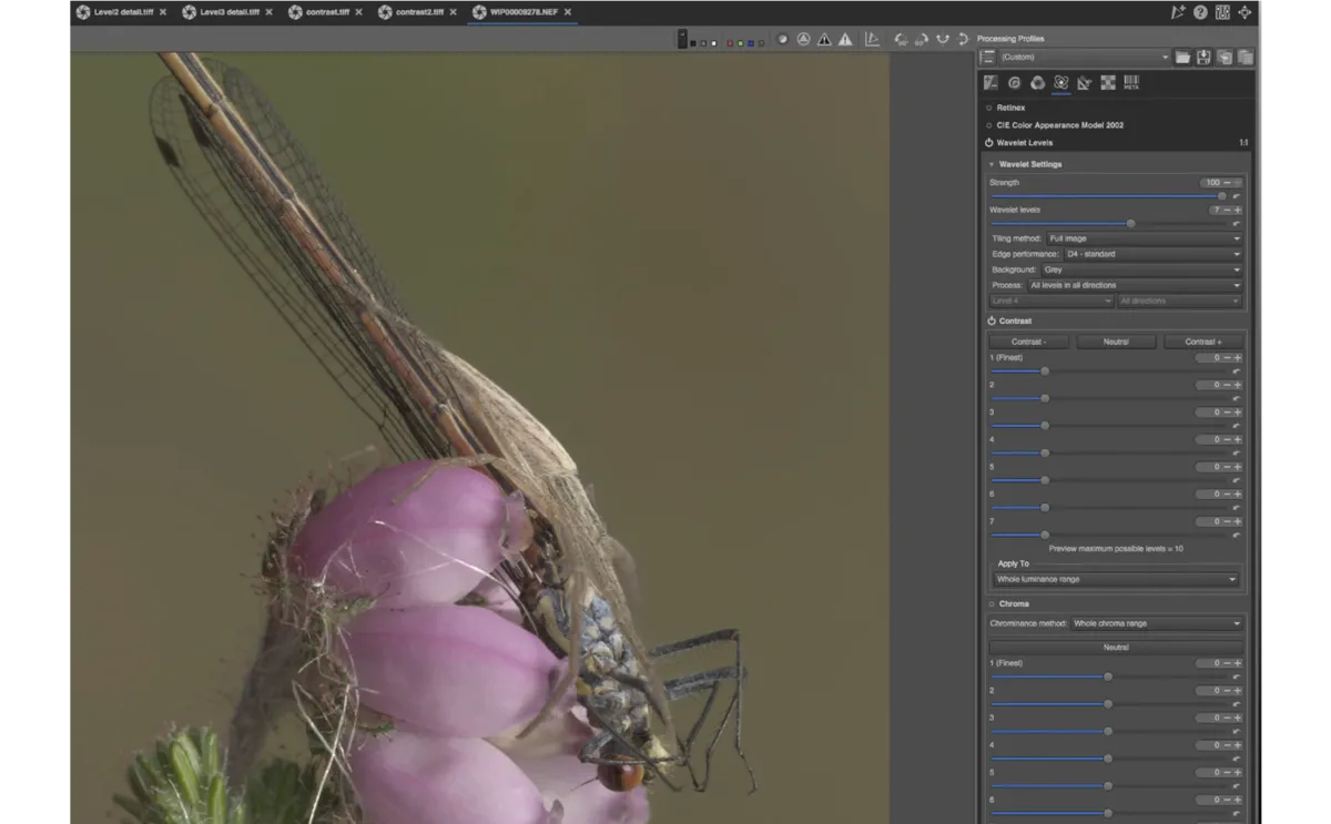 Advanced Wavelets tool in RawTherapee | Skylum Blog