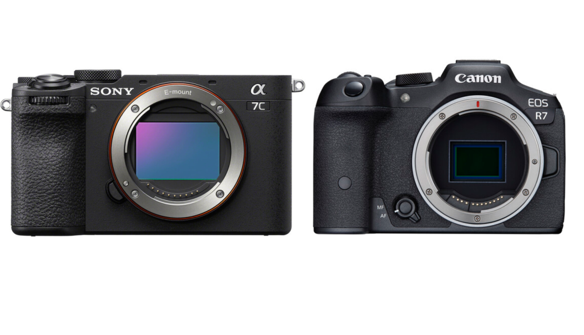 Sony Alpha A7C II and Canon EOS R7 | Skylum Blog

