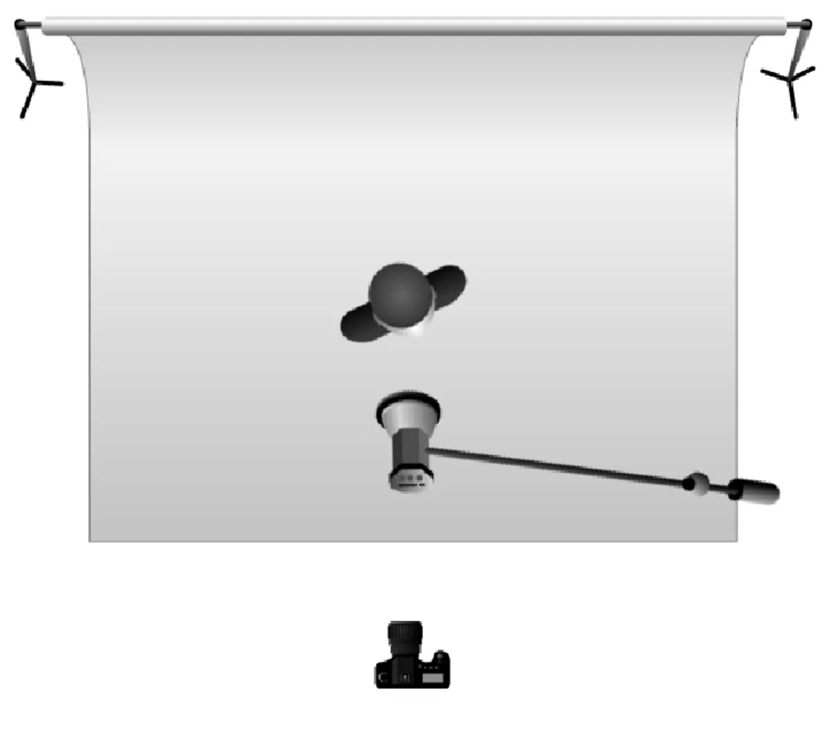 Butterfly/ Paramount | Skylum Blog