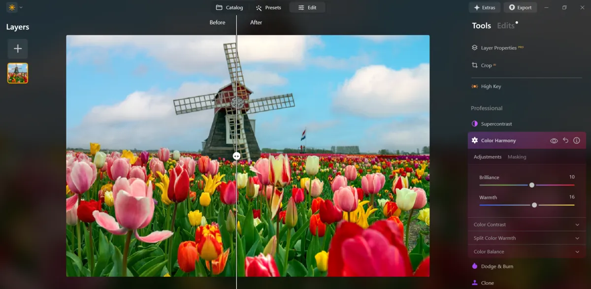 Colour Harmony in Luminar Neo | Skylum Blog