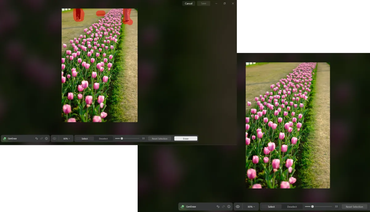 GenErase in Luminar Neo | Skylum Blog