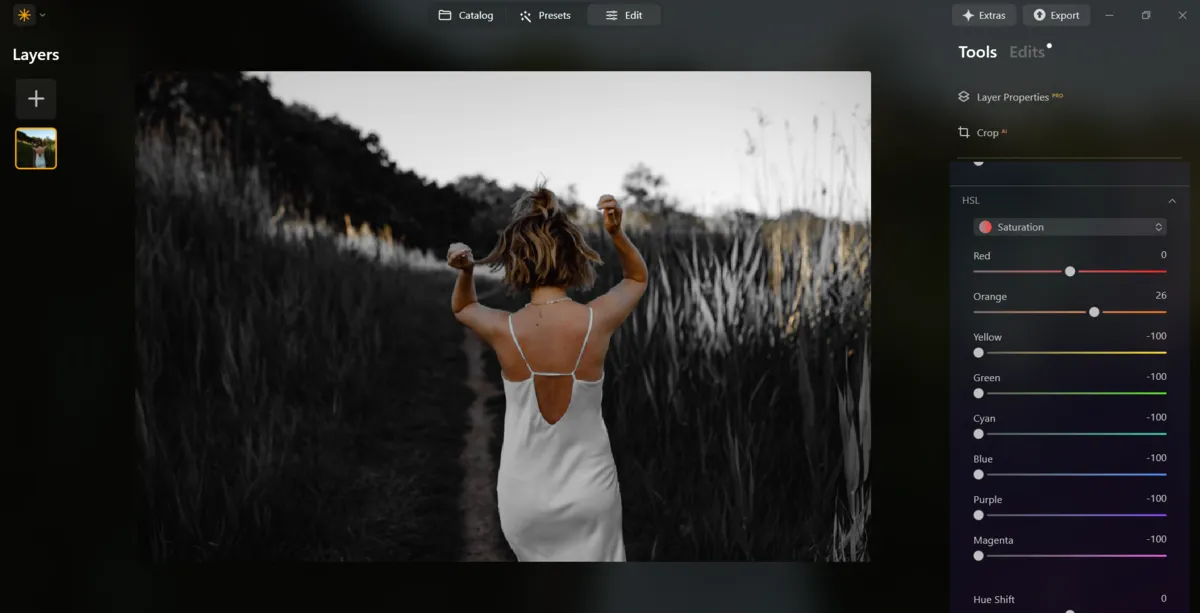 Saturation in Luminar Neo | Skylum Blog
